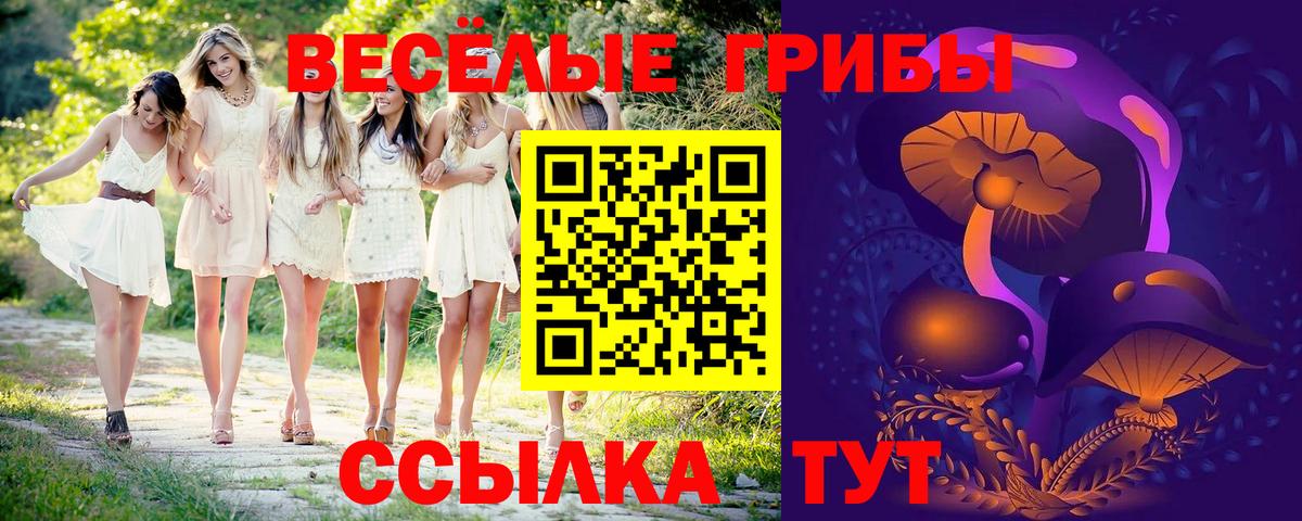 Псилоцибиновые грибы Psilocybine cubensis Полевской