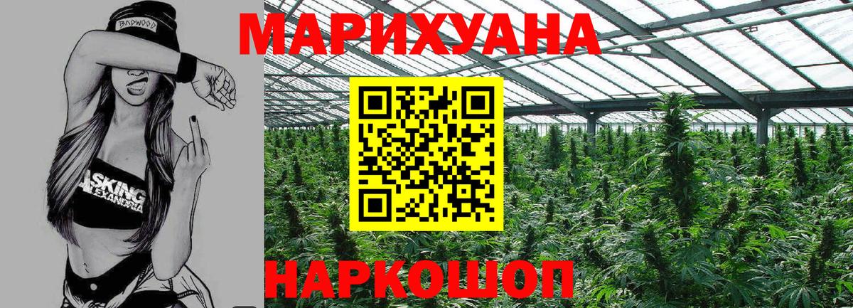 Каннабис OG Kush Полевской